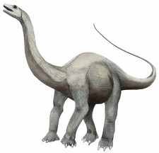 Imagen de Qinlingosaurus