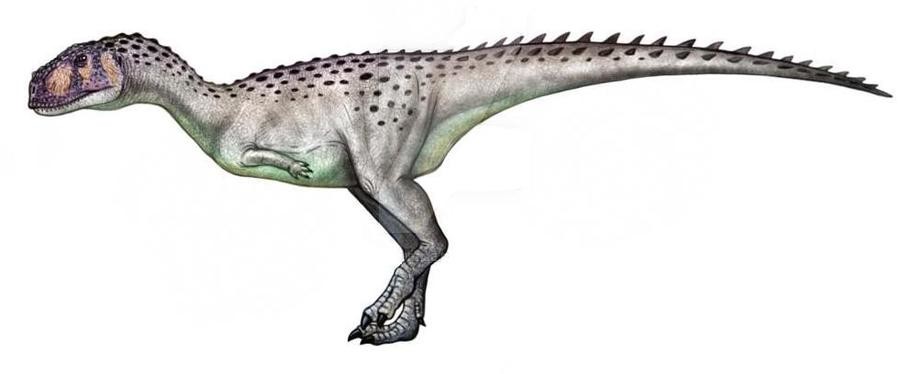 Imagen de Rahiolisaurus