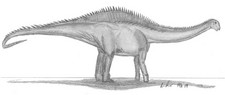 Imagen de Rayososaurus