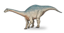 Imagen de Riojasaurus