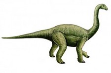 Imagen de Rocasaurus