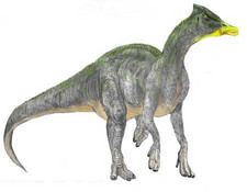 Imagen de Saurolophus