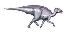 Imagen de Secernosaurus