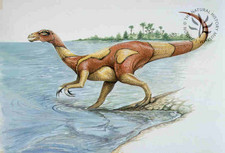 Imagen de Segnosaurus