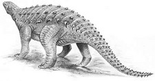 Imagen de Struthiosaurus
