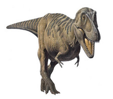 Imagen de Tarbosaurus