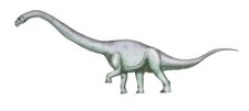 Imagen de Tehuelchesaurus