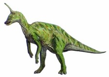 Imagen de Tsintaosaurus