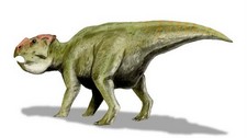 Imagen de Udanoceratops