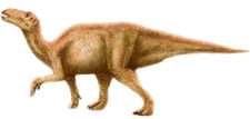 Imagen de Zhuchengosaurus