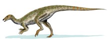 Imagen de Thescelosaurio