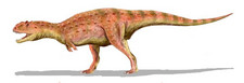 Imagen de Majungasaurus
