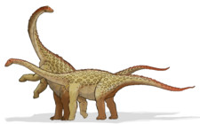 Imagen de Saltasaurus