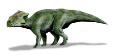 Imagen de Bagaceratops