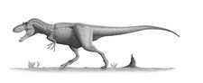 Imagen de Daspletosaurus
