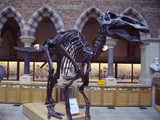 Imagen de Edmontosaurus