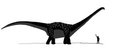 Imagen de Antarctosaurus