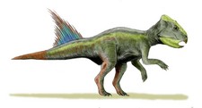 Imagen de Archaeoceratops