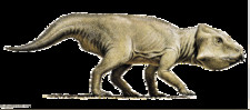 Imagen de Bainoceratops