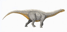 Imagen de Barapasaurus