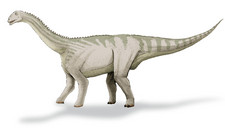 Imagen de Bellusaurus