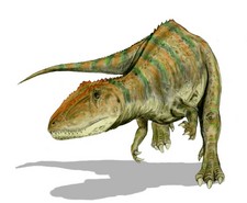 Imagen de Carcharodontosaurus