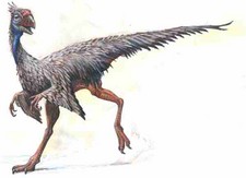 Imagen de Caudipteryx