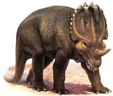 Imagen de Centrosaurus