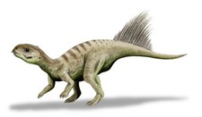 Imagen de Chaoyangsaurus