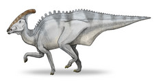 Imagen de Charonosaurus