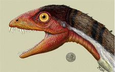 Imagen de Daemonosaurus