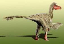 Imagen de Dromaeosaurus