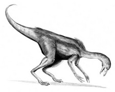 Imagen de Dromiceiomimus