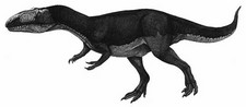 Imagen de Dubreuillosaurus
