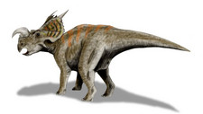 Imagen de Einiosaurus