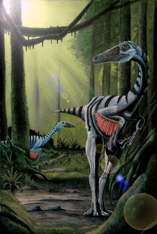 Imagen de Elopteryx