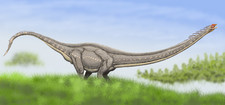 Imagen de Eomamenchisaurus