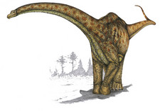 Imagen de Futalogncosaurus