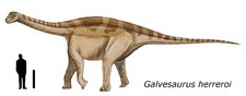 Imagen de Galveosaurus